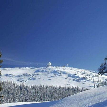 Appartement Au Pied Des Pistes 49M2 -4-5 Pers Prémanon エクステリア 写真